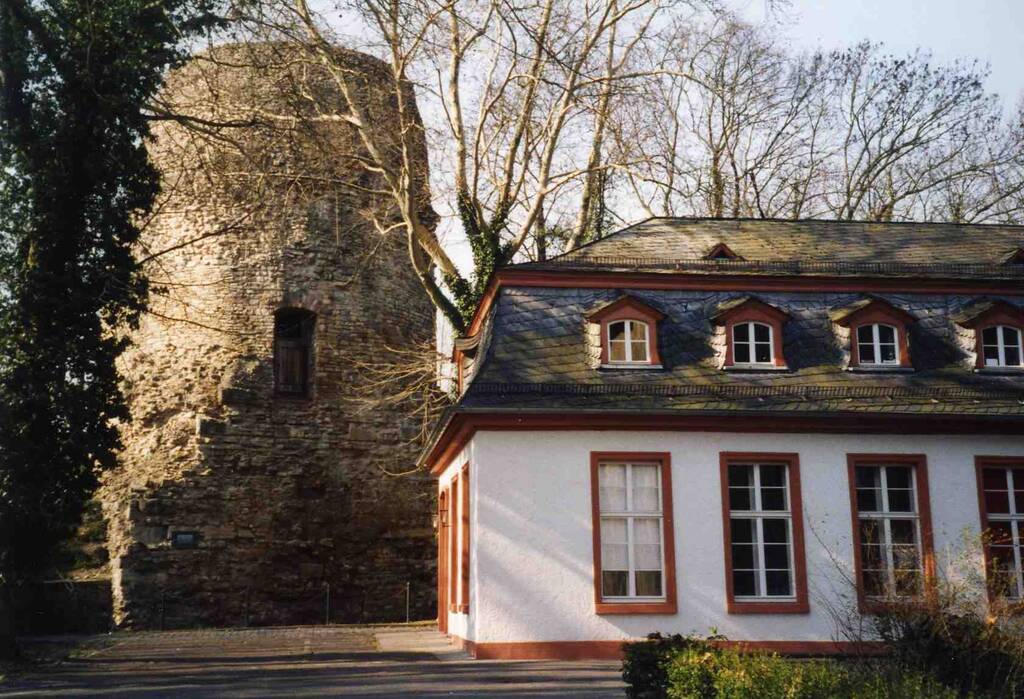 Image of the institution